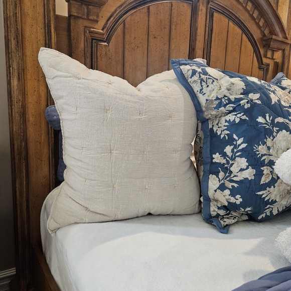Pottery Barn Euro Shams